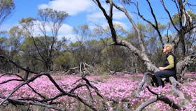 Talgomine Reserve, Nungarin, Western Australia