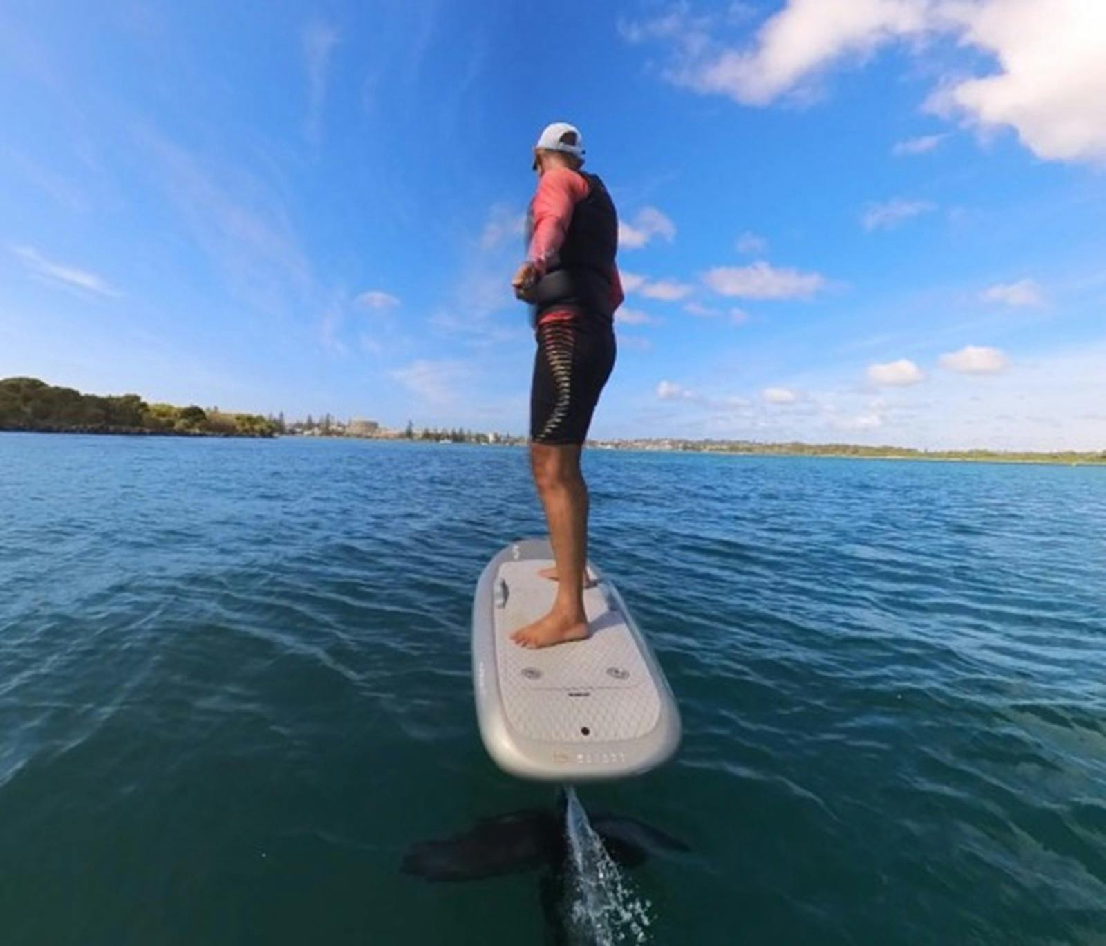 A rider can Carve or cruise the rider makes the choice