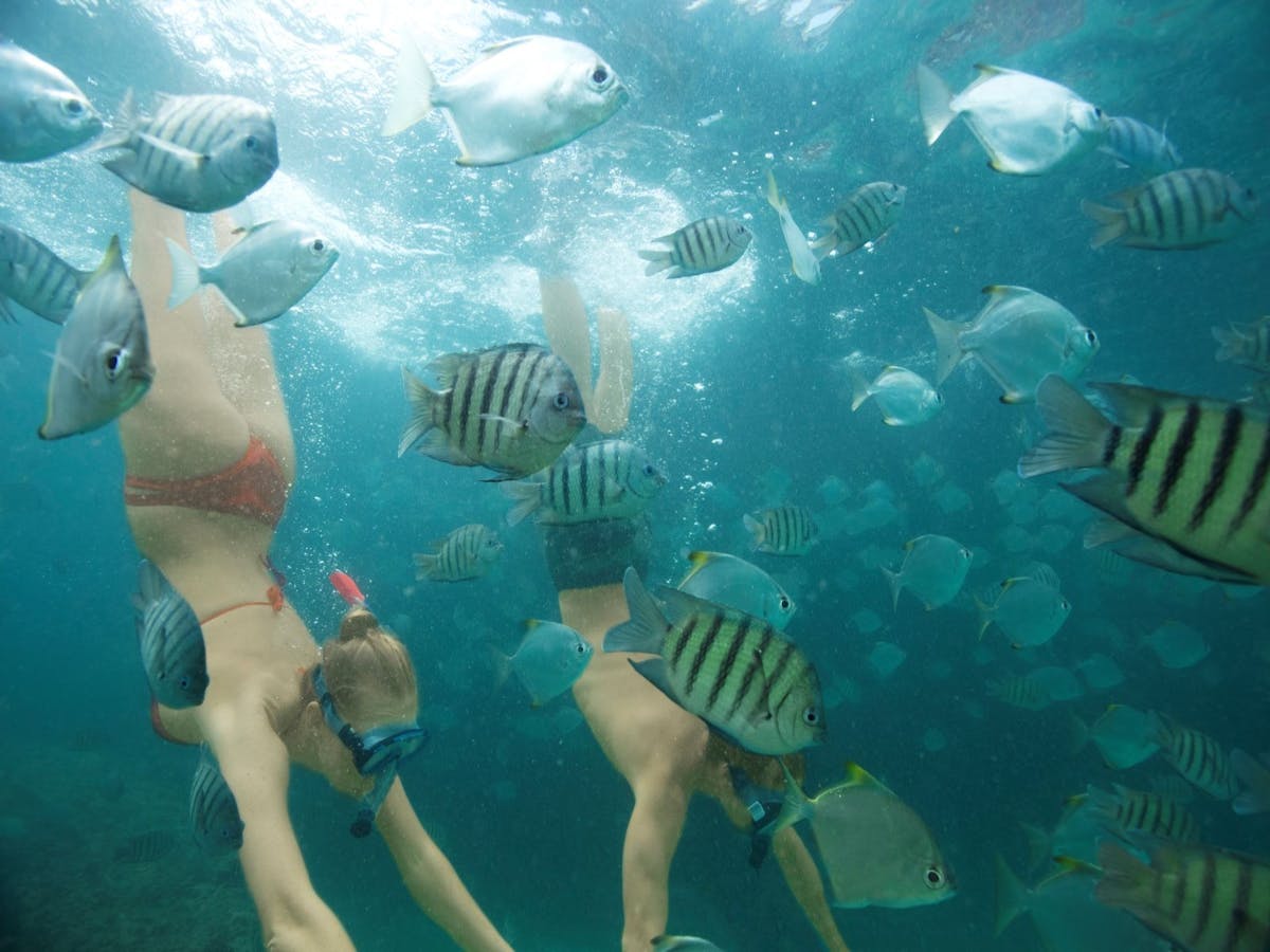 Snorkelling