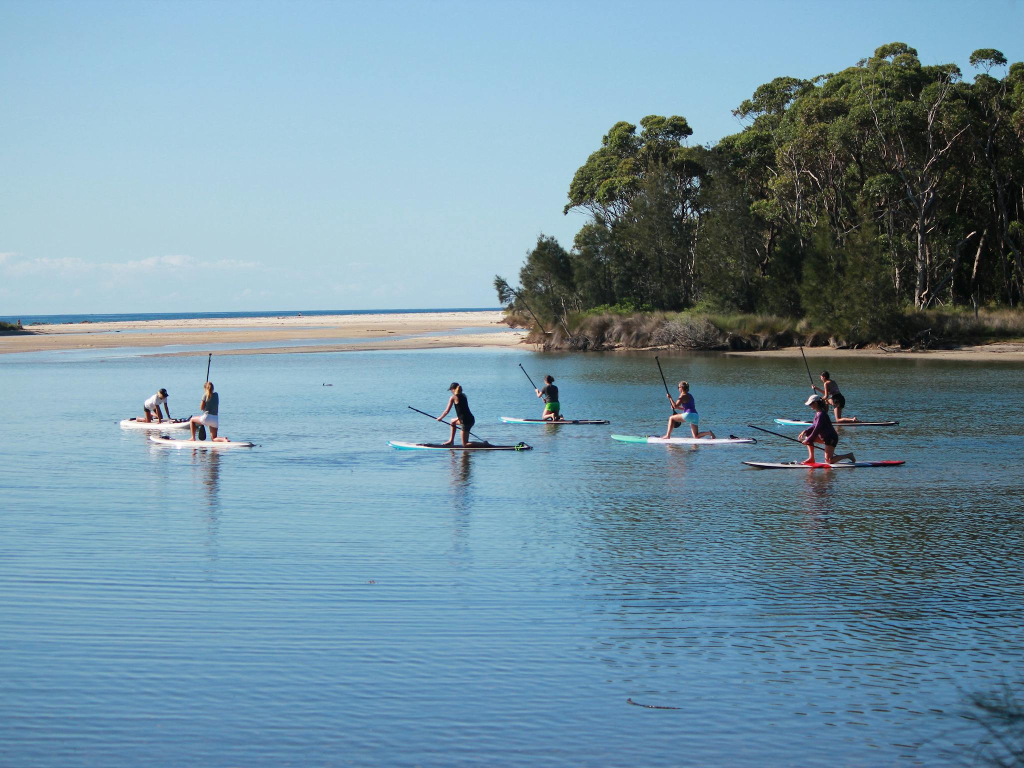 Stand up paddle