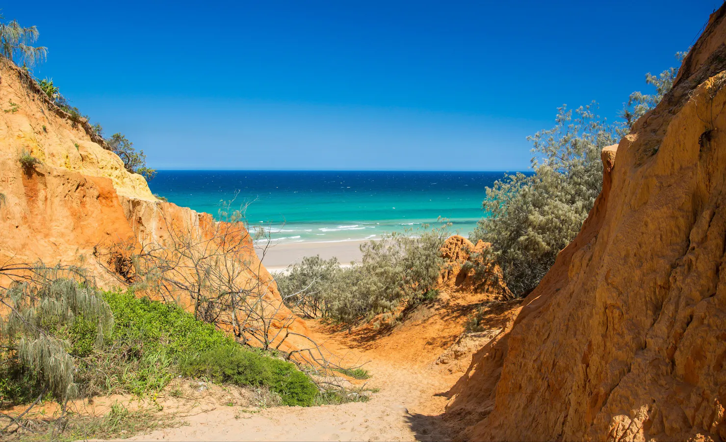 Overlooking Teewah Beach from Red Canyon on the Great Beach Drive