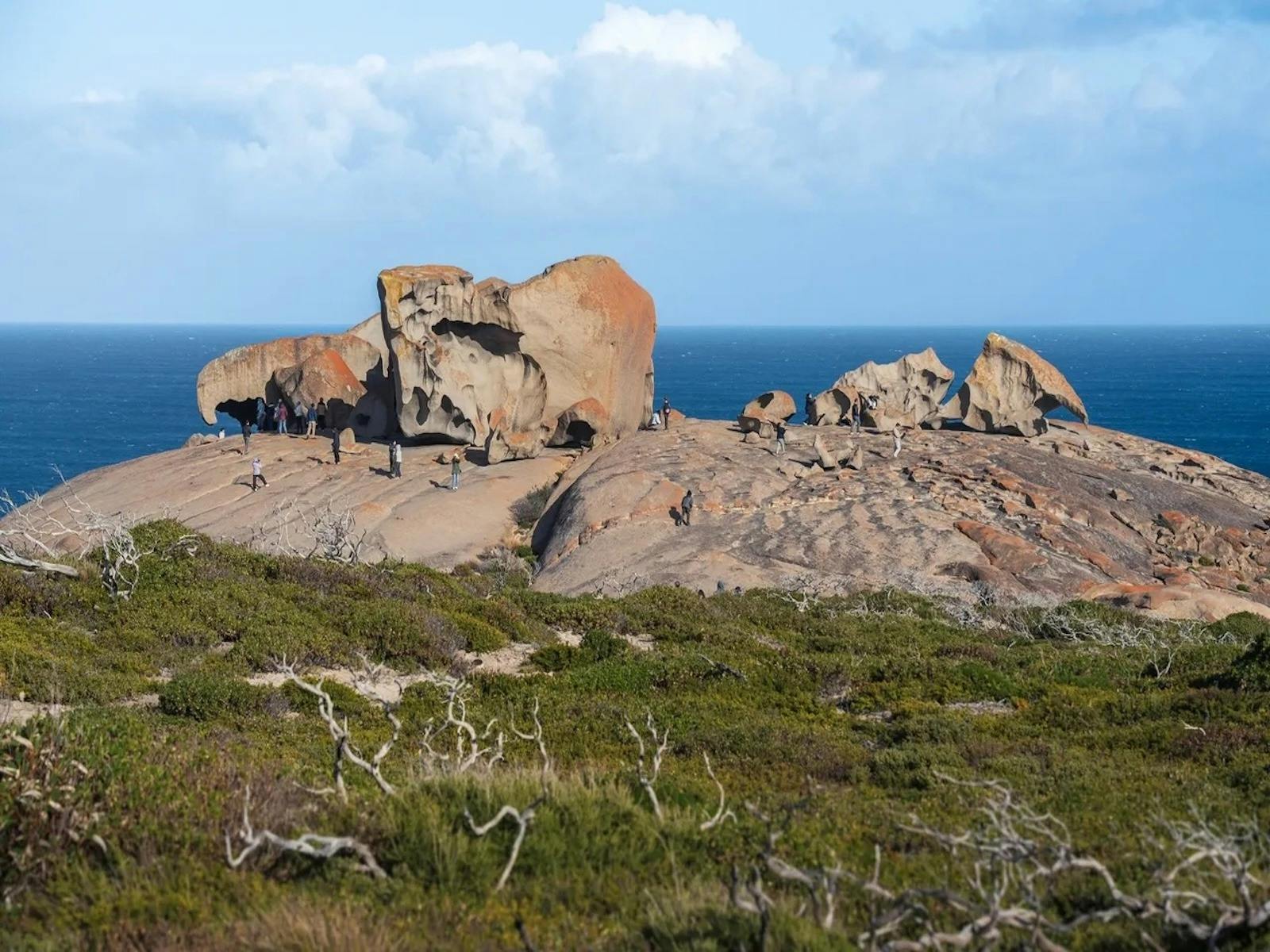 Two-Day Kangaroo Island Tour : A Wildlife & Coastal Paradise Adventure