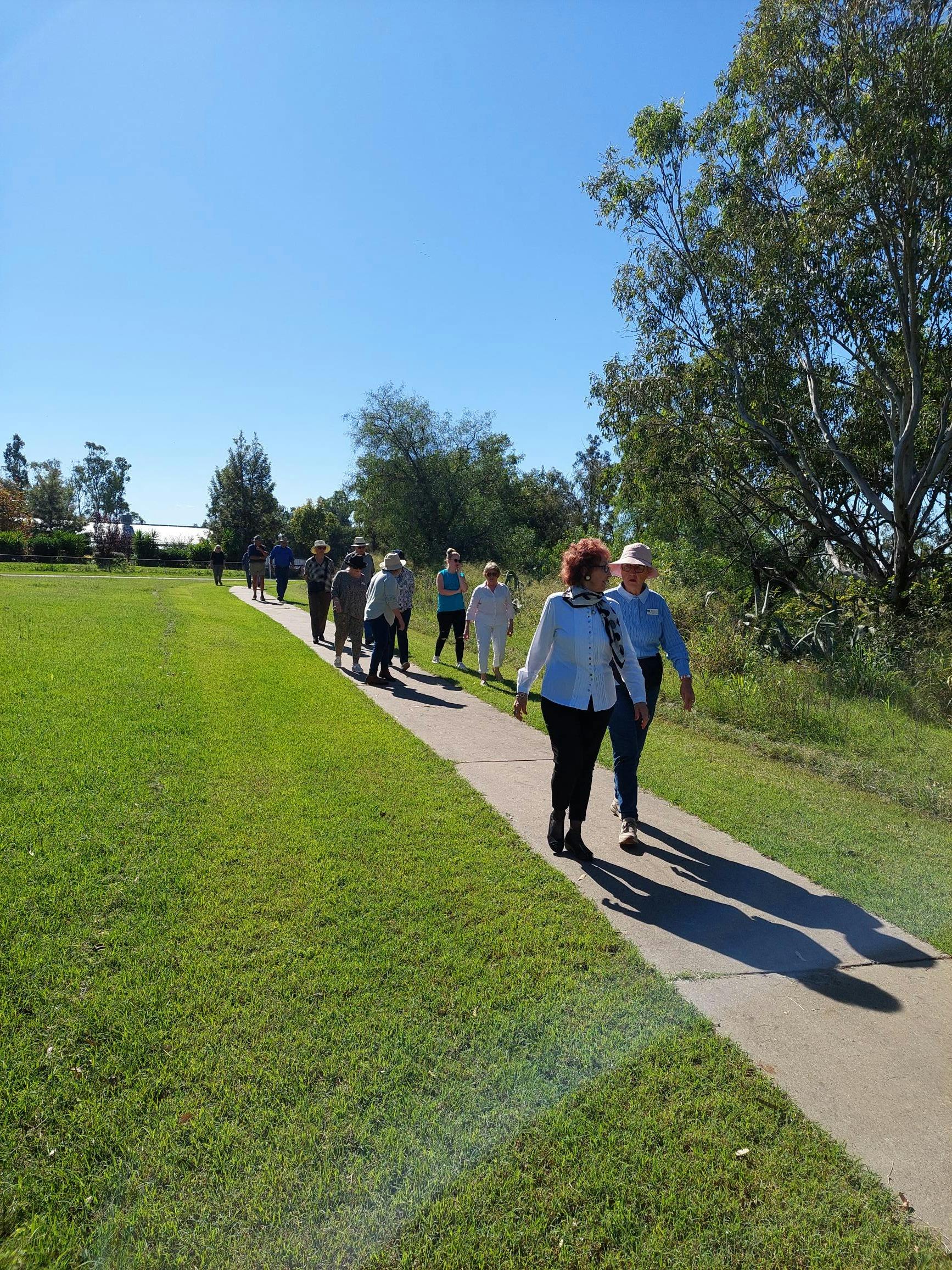 Inglewood Olive Walkway