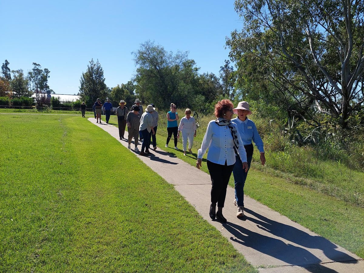 People walking down Inglewood olive grove walkway People walking down Inglewood olive grove walkway