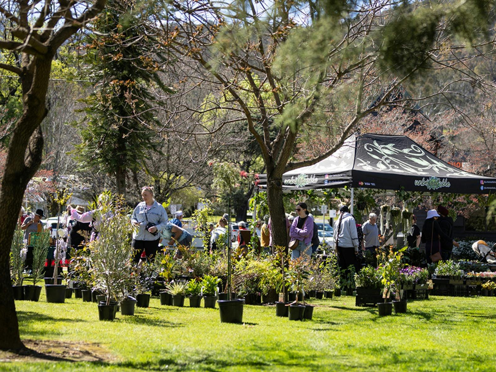People browsing stalls under shady trees at a sunny outdoor market.