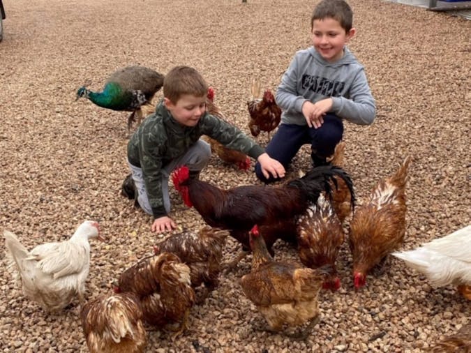 Pegs Place Farm Stay Guest House