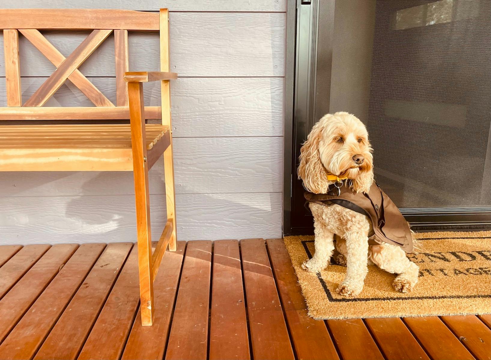 Lavender Cottage Pet Friendly