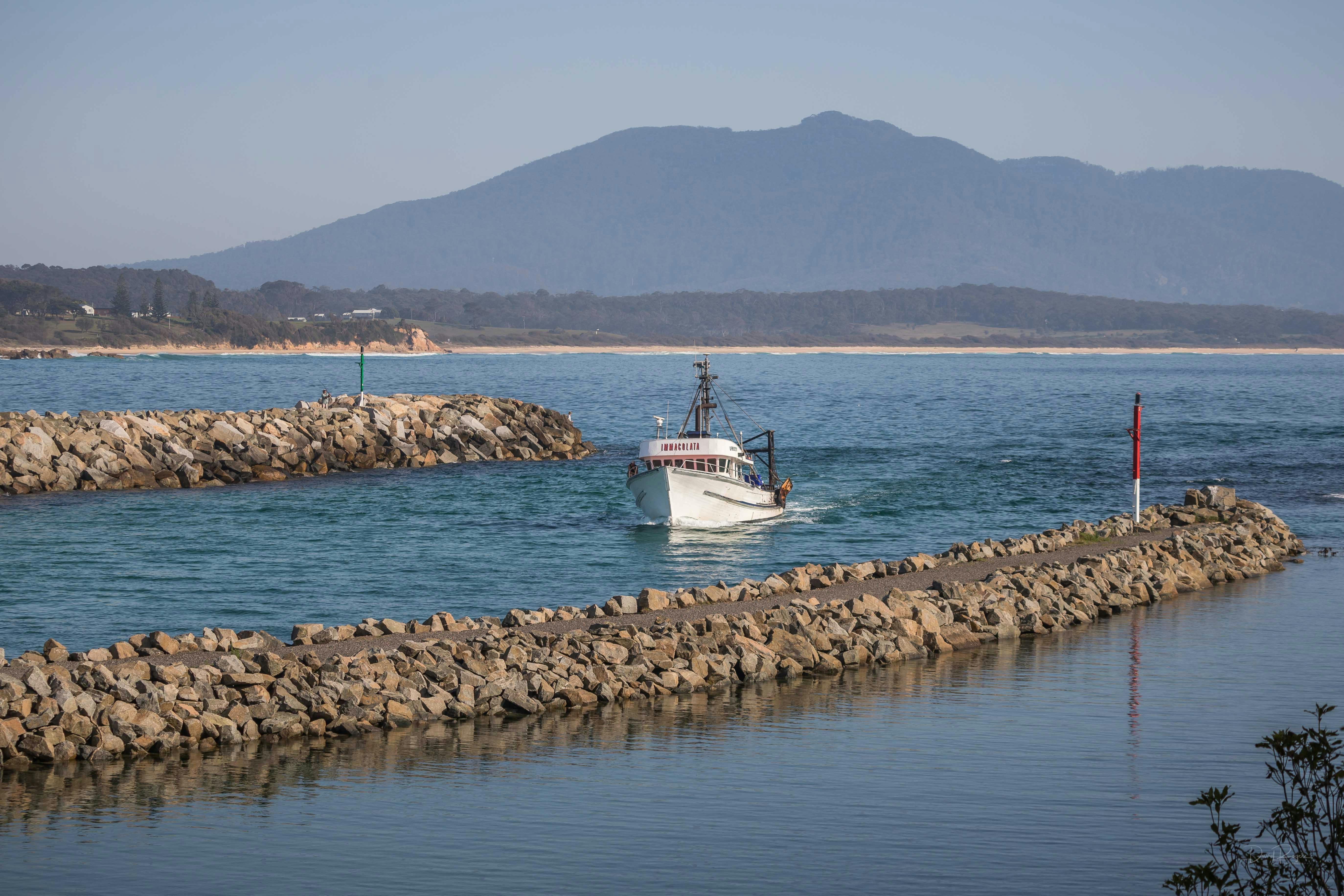 Bermagui Harbour 藍寶石海岸, Bermagui 釣魚
