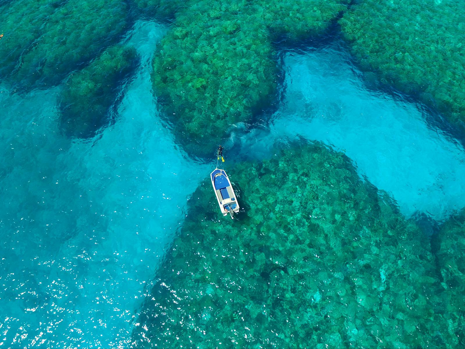 5 or 7 Night Rowley Shoals Underwater Adventure