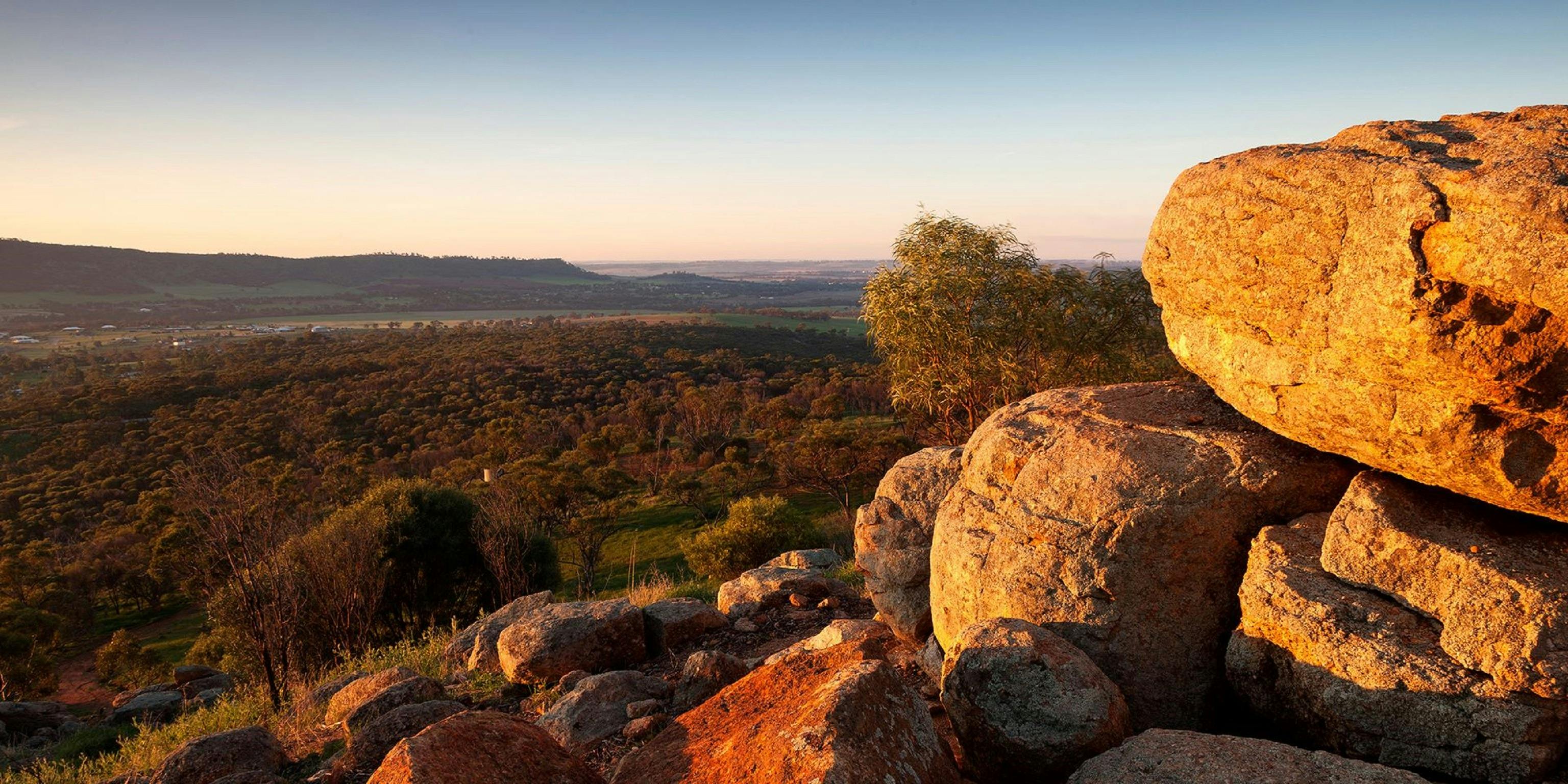 Mount Brown Lookout