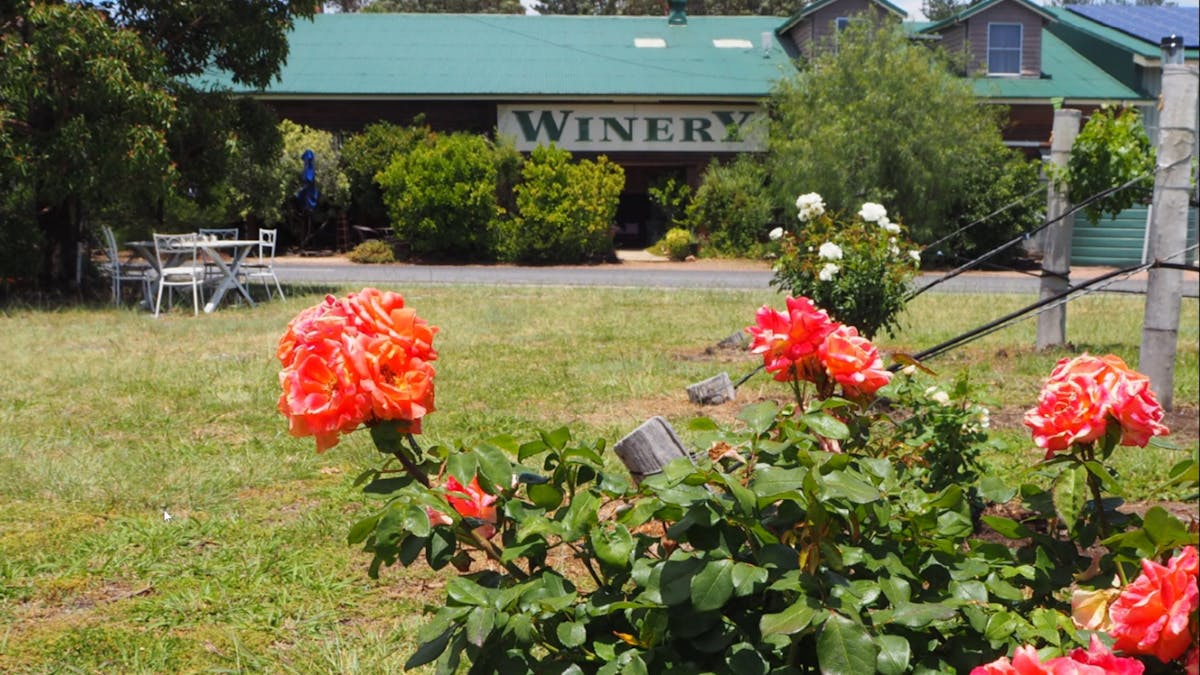 Vine+Dine Journey Starts Here