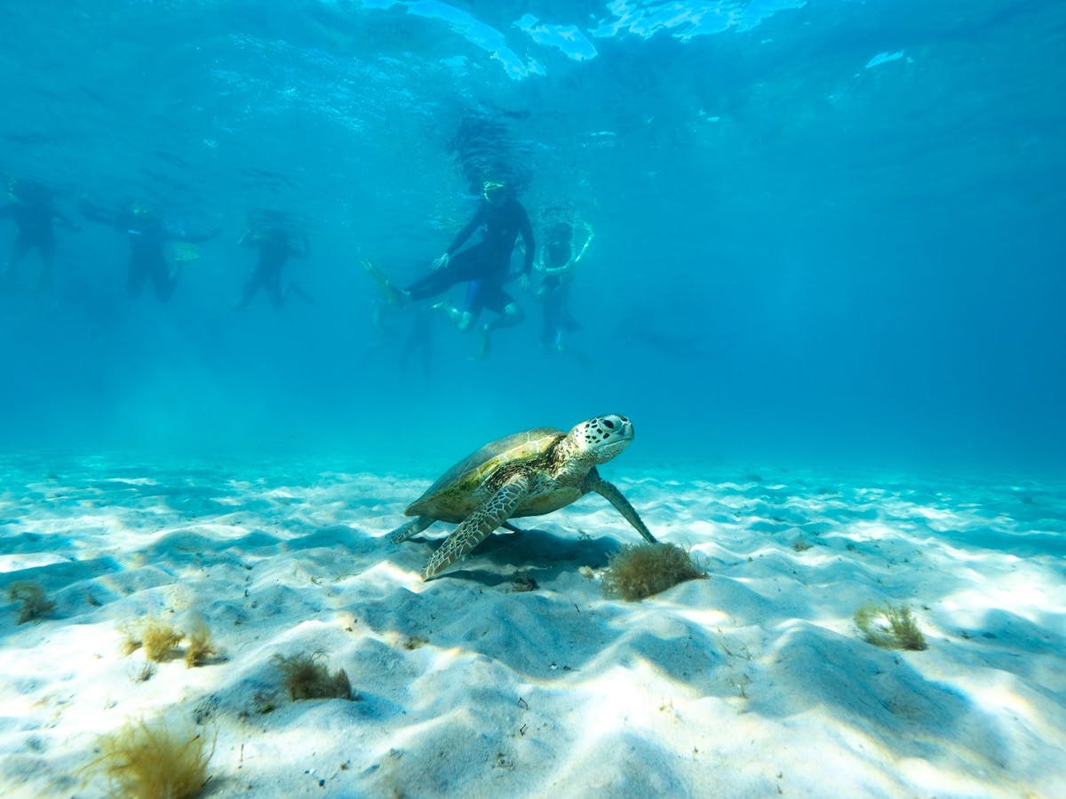 A close encounter you won’t forget!