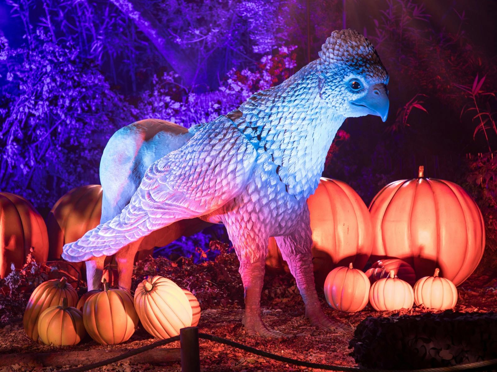 Harry Potter: A Forbidden Forest Experience