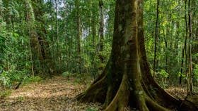 Barrington Tops National Park