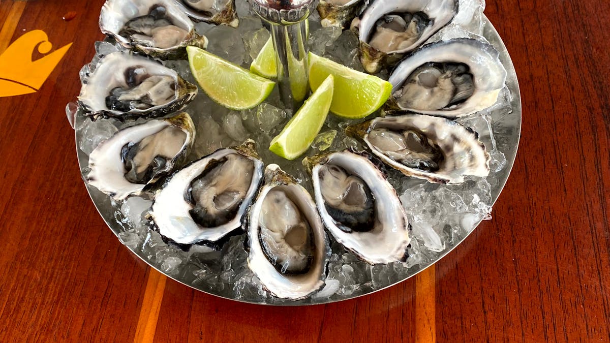 Freshly shucked oysters