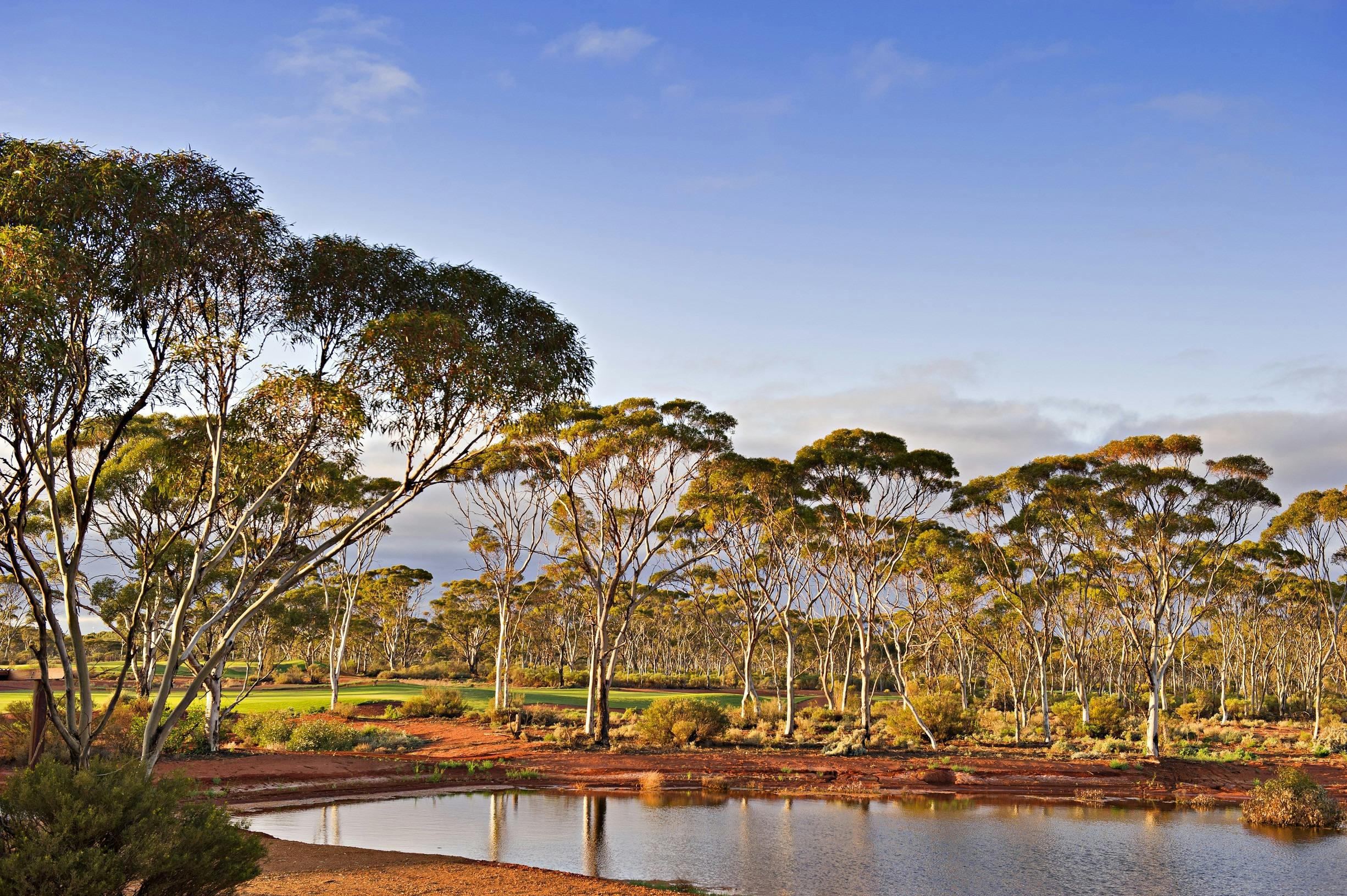 Edit Kalgoorlie Golf Course, Western Australia