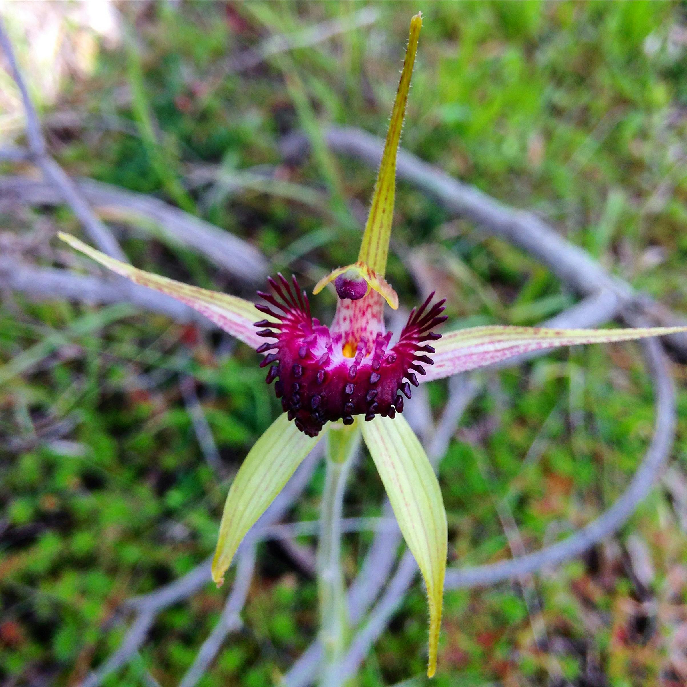 South West Eco Discoveries, Busselton, Western Australia