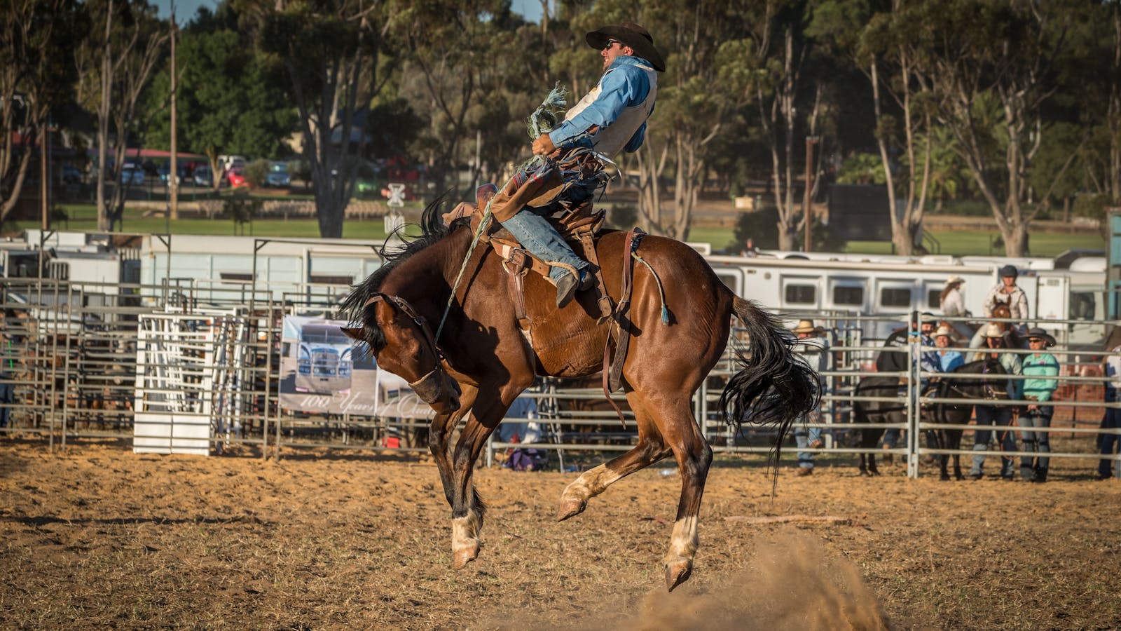 Image for Rodeo by the Sea - Streaky Bay