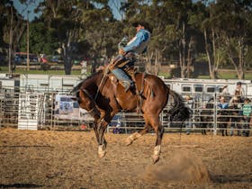 Rodeo by the Sea - Streaky Bay Cover Image