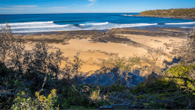 Dolphin Point Beach