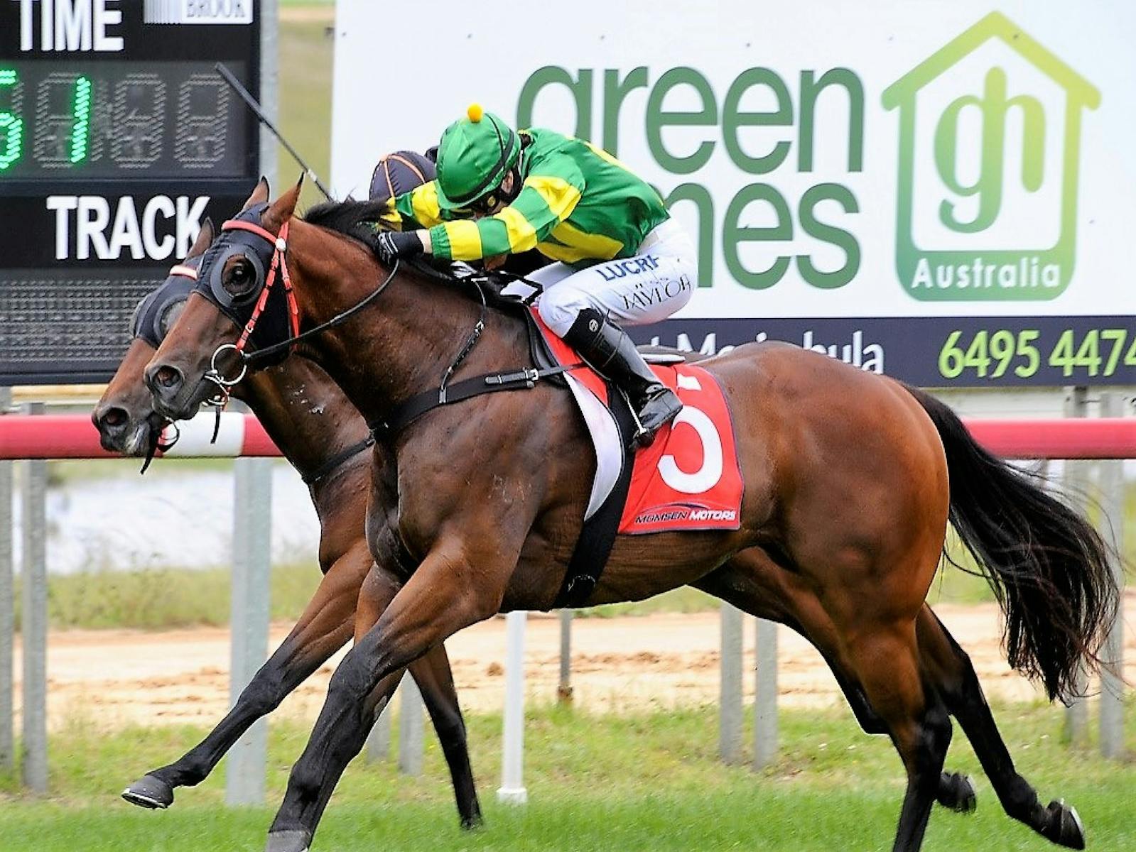 Image for Pambula Cup Race Day