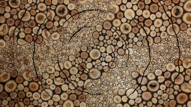 Image for Dirk Lejeune Timber Mosaics