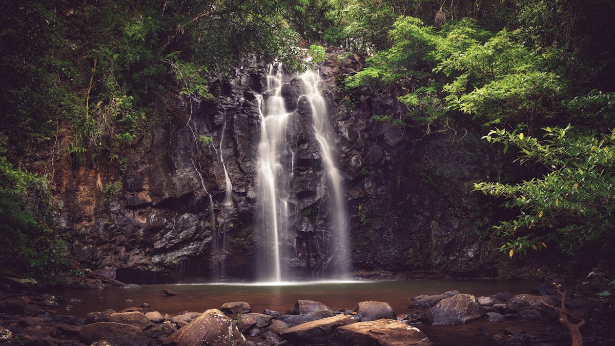 Rainforest waterfall in Far North Queensland during a holiday photography experience.