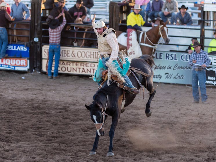 Coonamble Rodeo and Campdraft