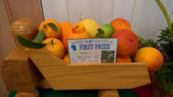 Yankalilla Show