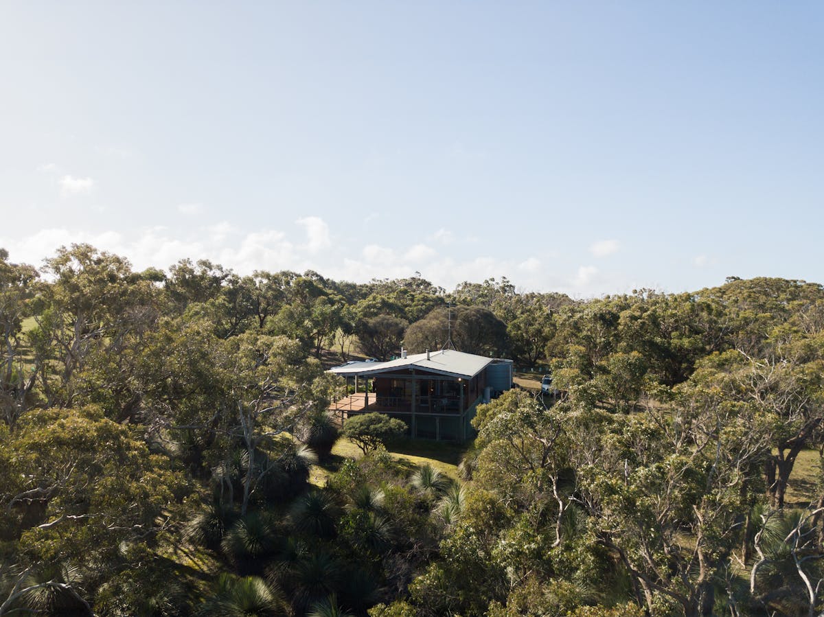 Grass Tree Gully