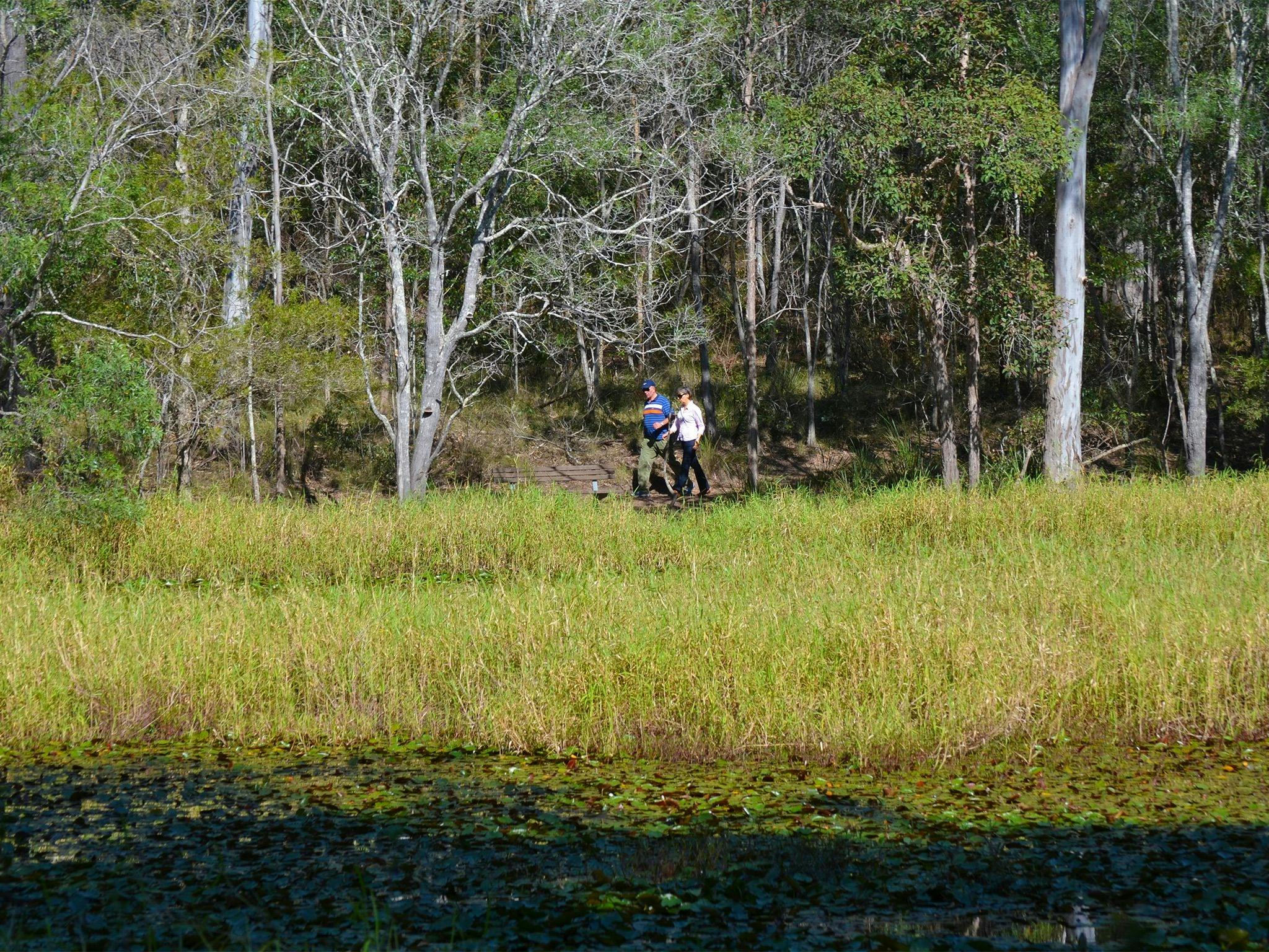 Two people walking along a track with a lily-filled waterbodie in the foreground.