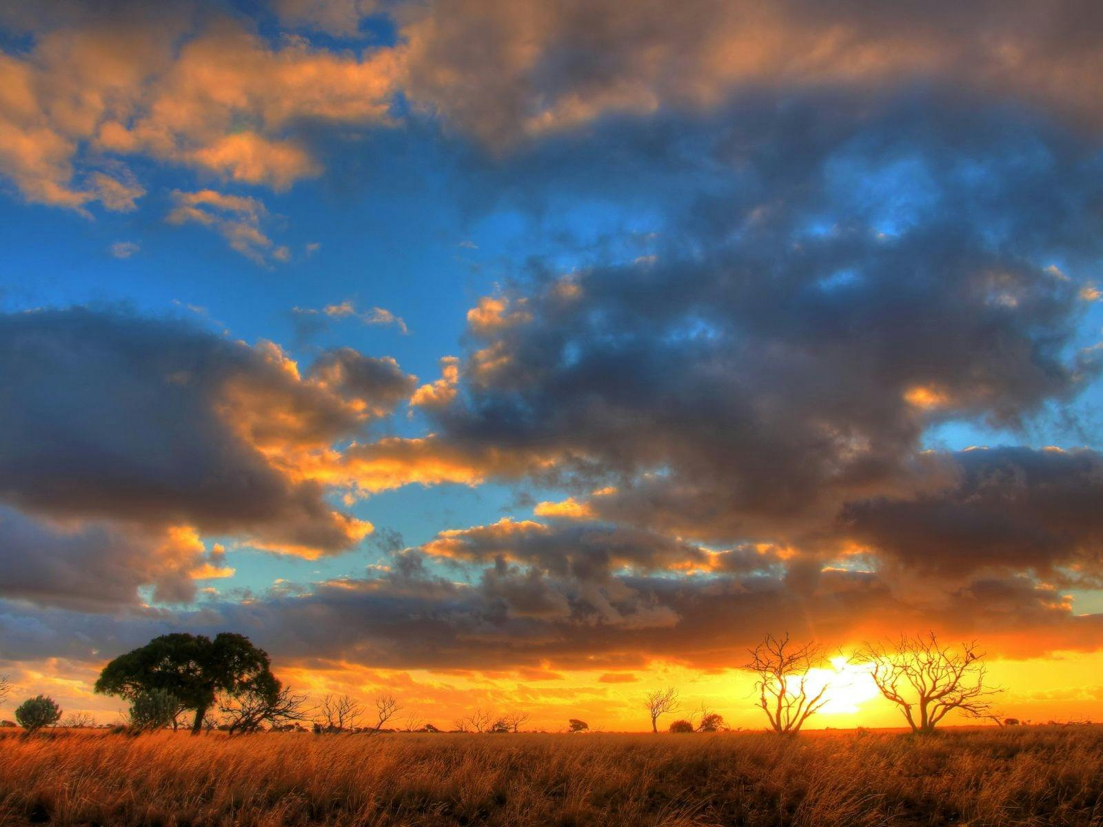 Sunset over the spinifex plains in the East Pilbara