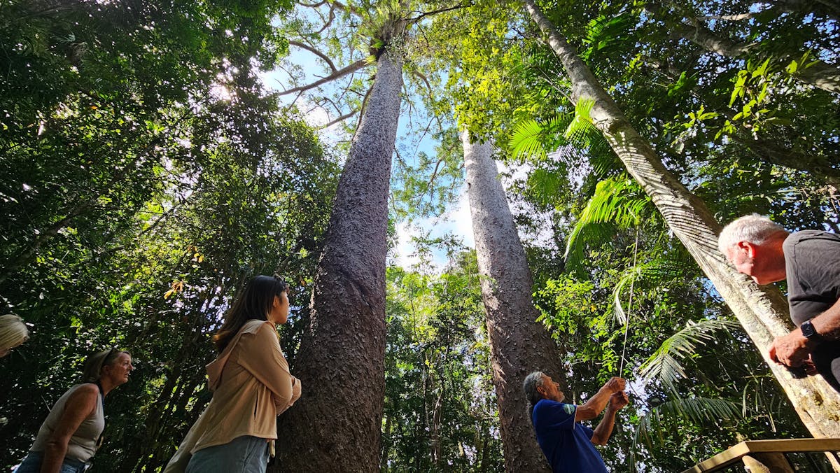 Discovery Tours Australia