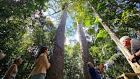 Discovery Tours Australia