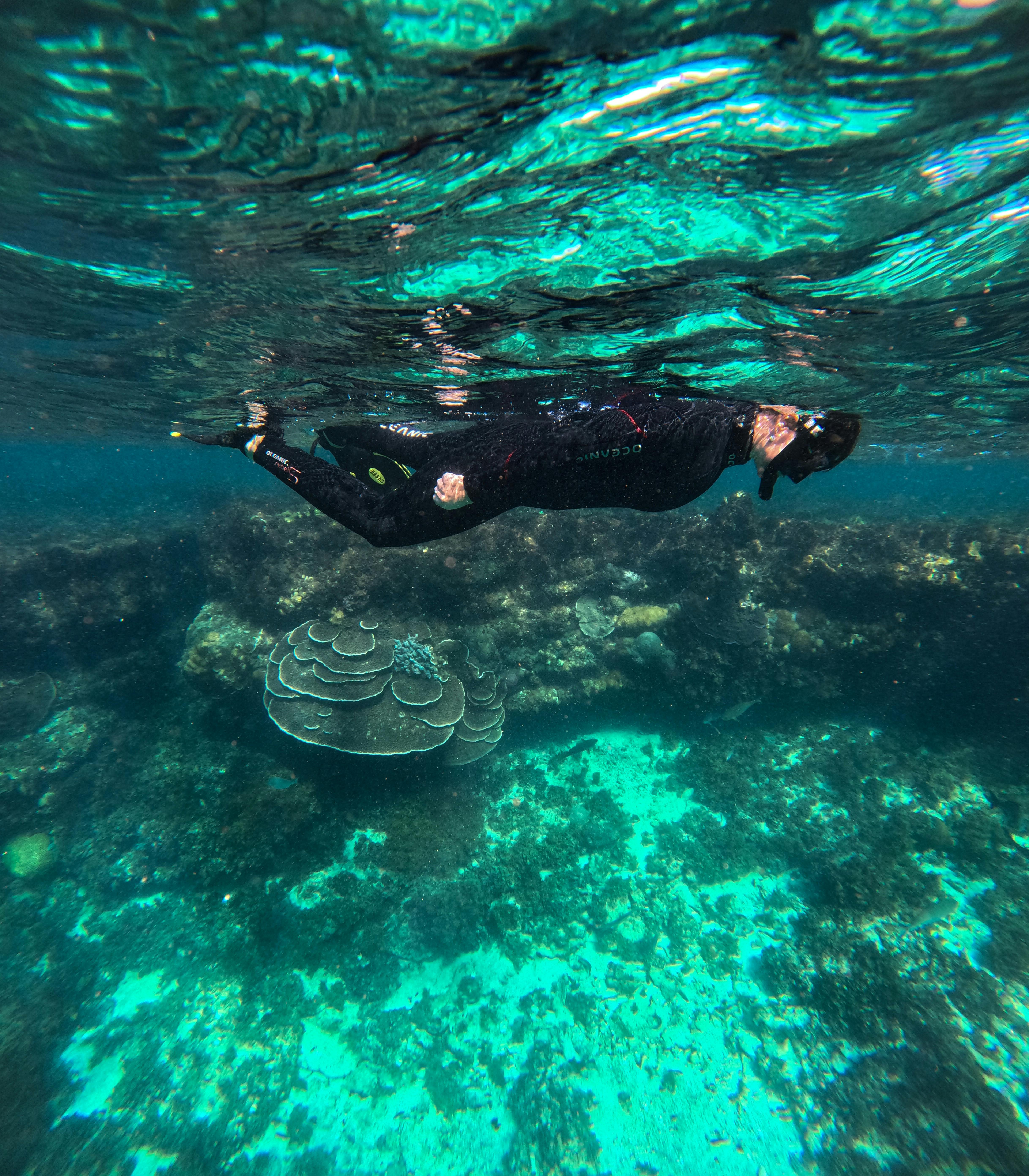 Snorkel Tour Jurien Bay Marine Park