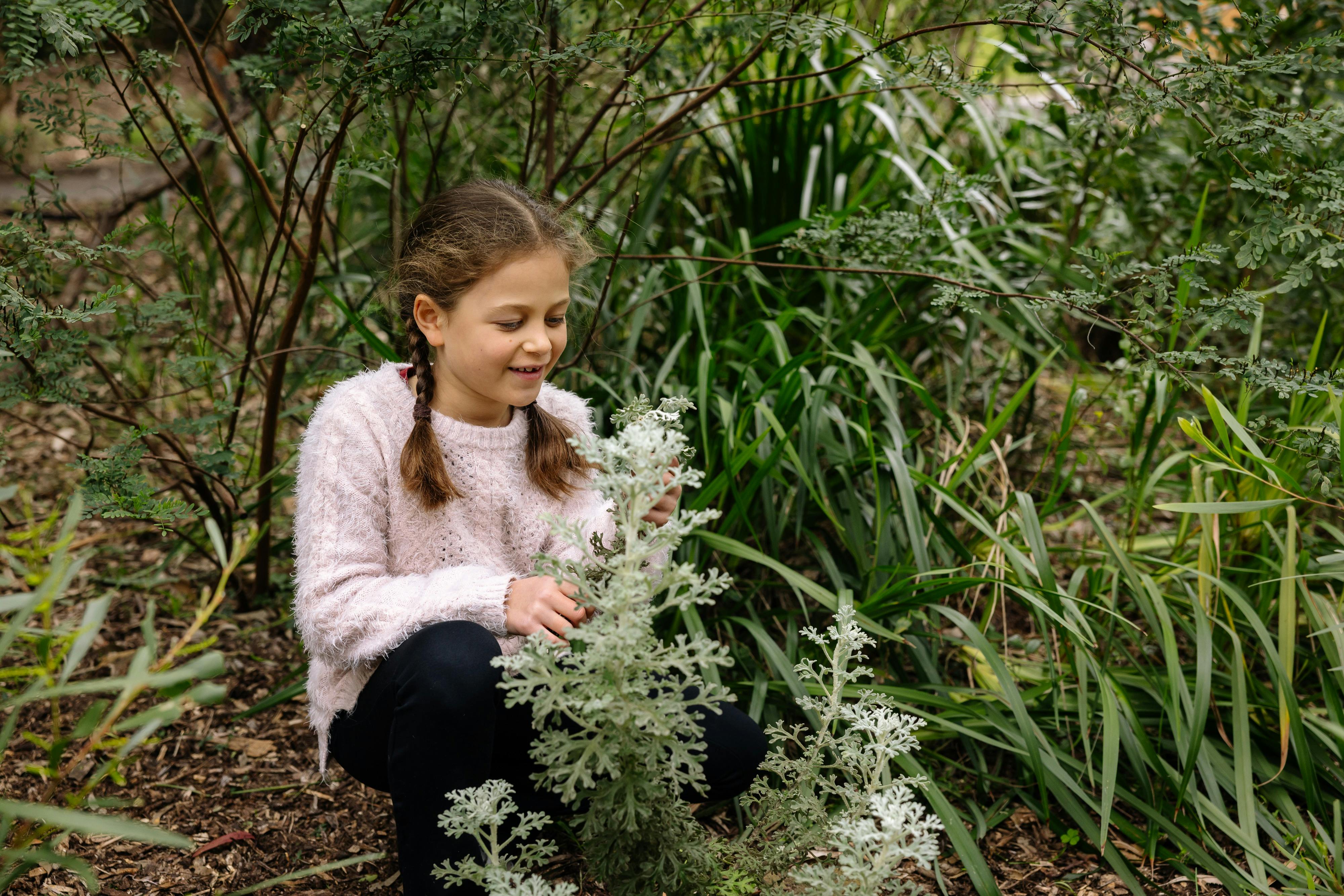 Budding Botanists