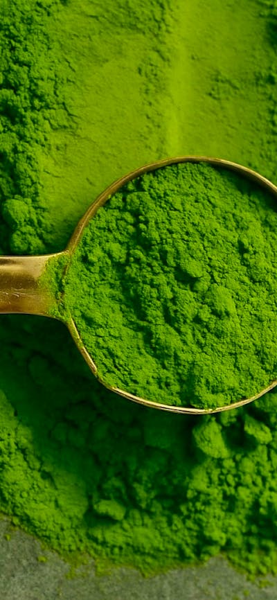 Ujin Matcha House, Canberra