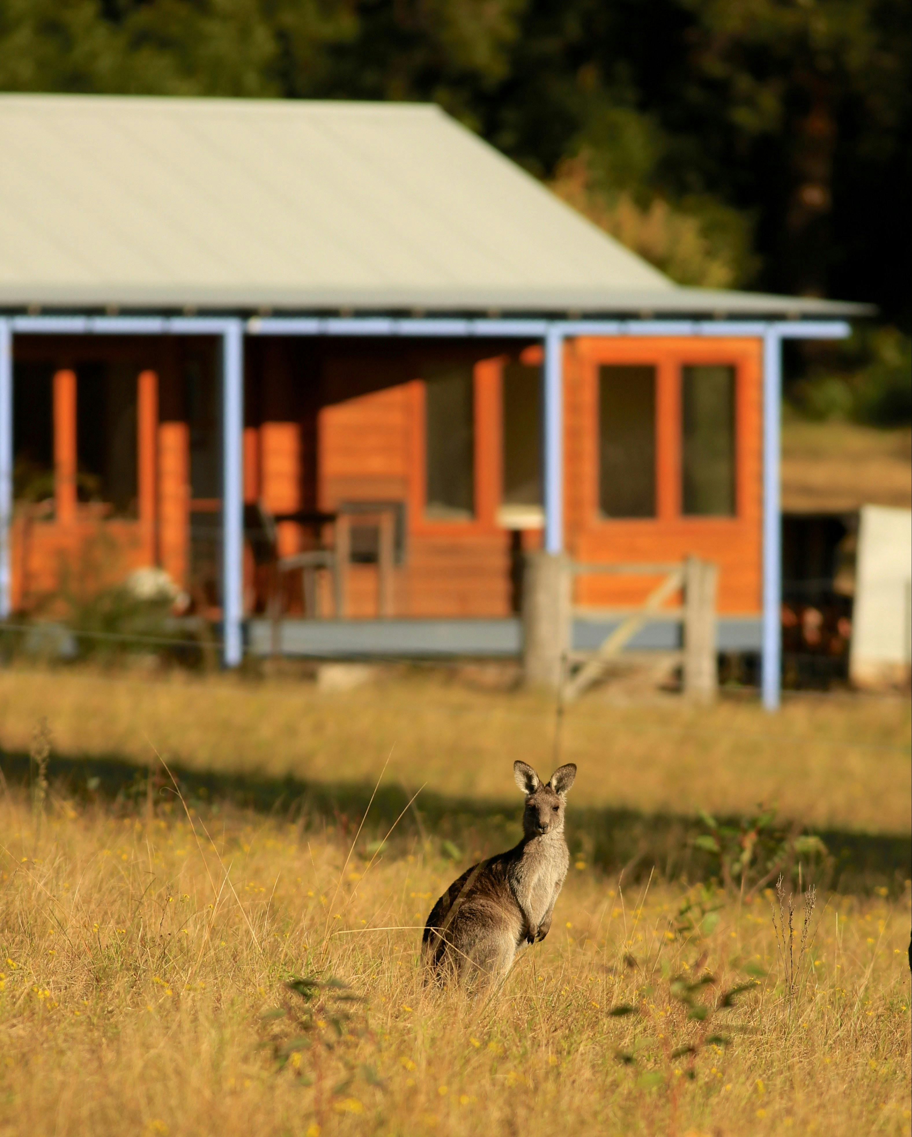 Worrowing Two Bedroom Cottage - Jervis Bay