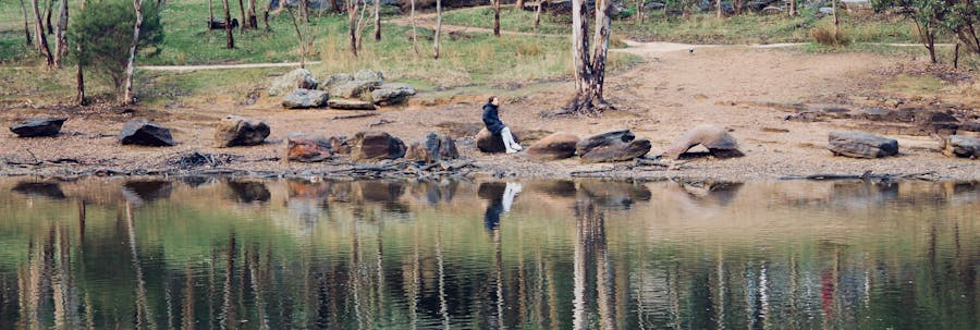 Escapegoat Nature Therapy and Forest Bathing