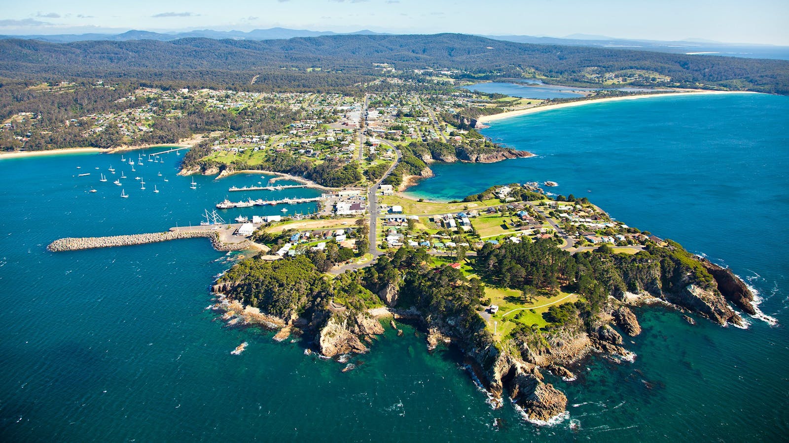 Eden Whale Festival