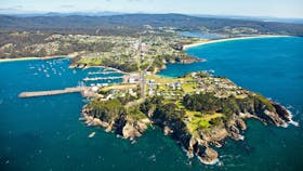 Eden Whale Festival