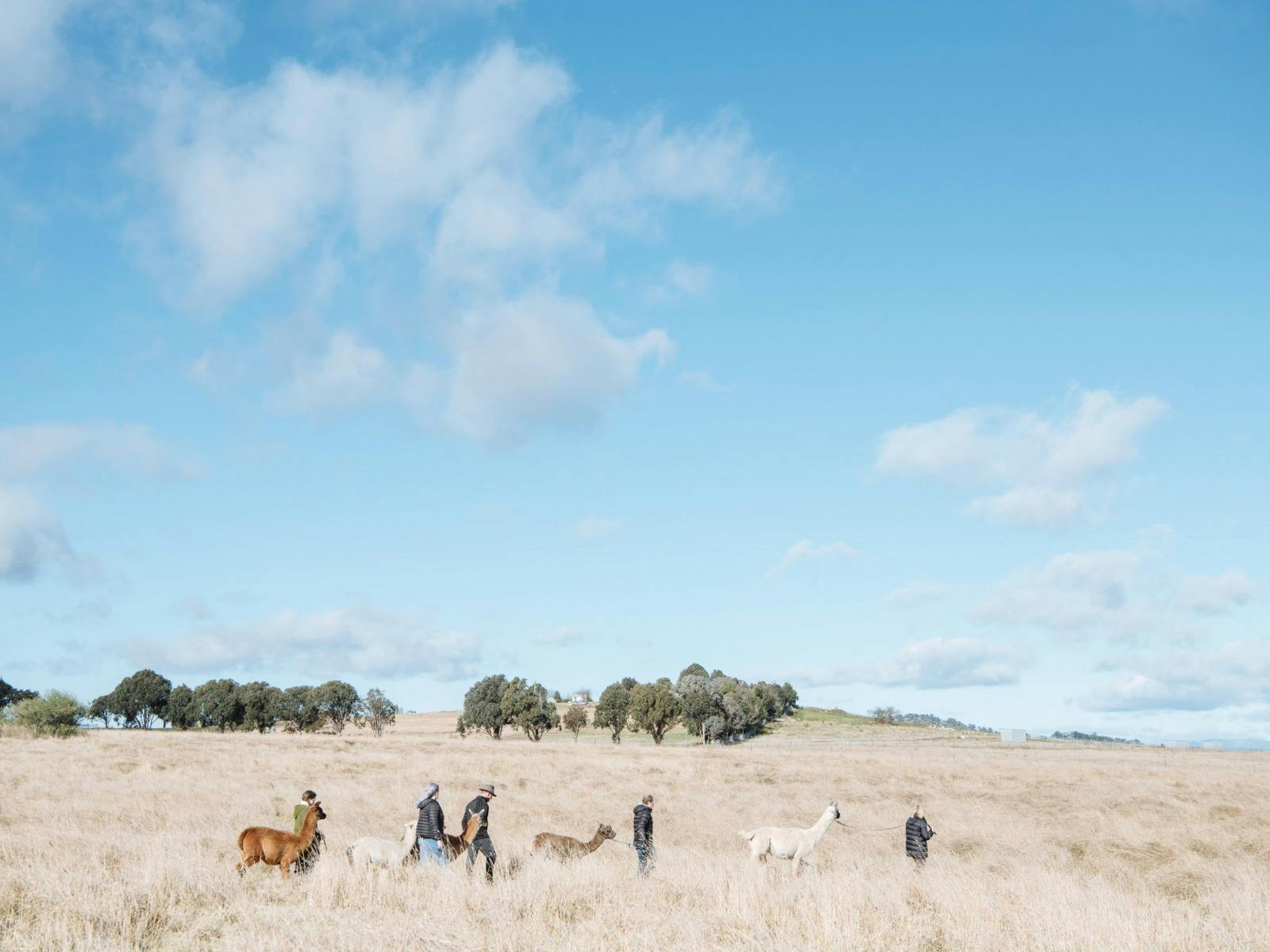 Walking across our farm