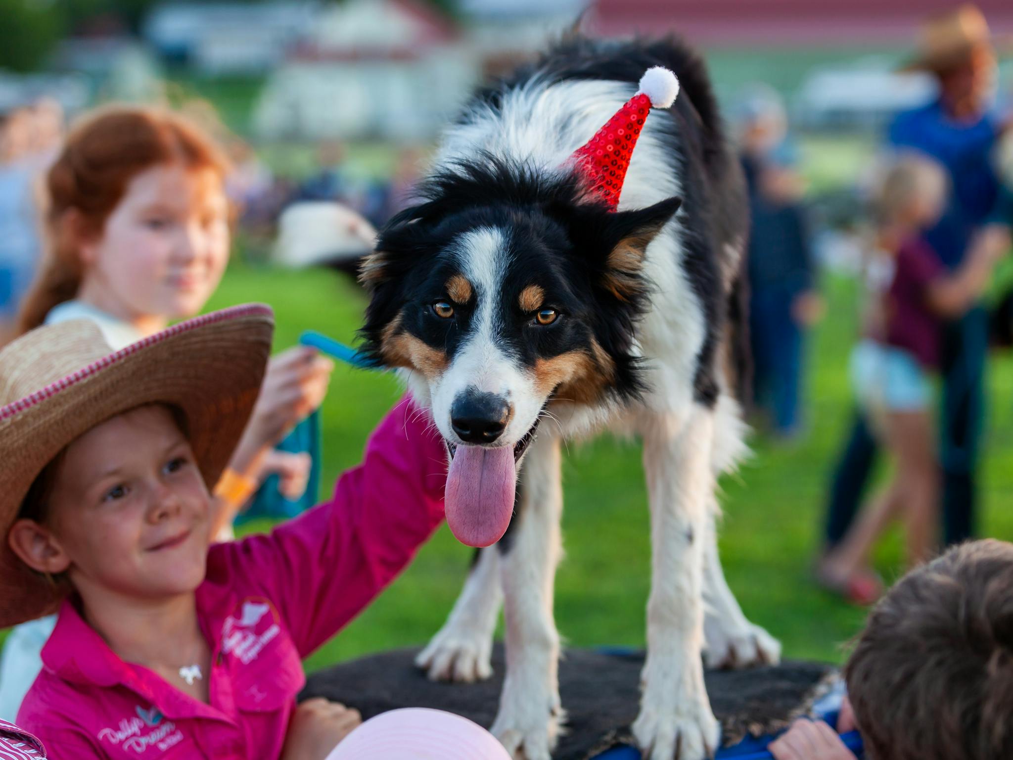 Dog and kids