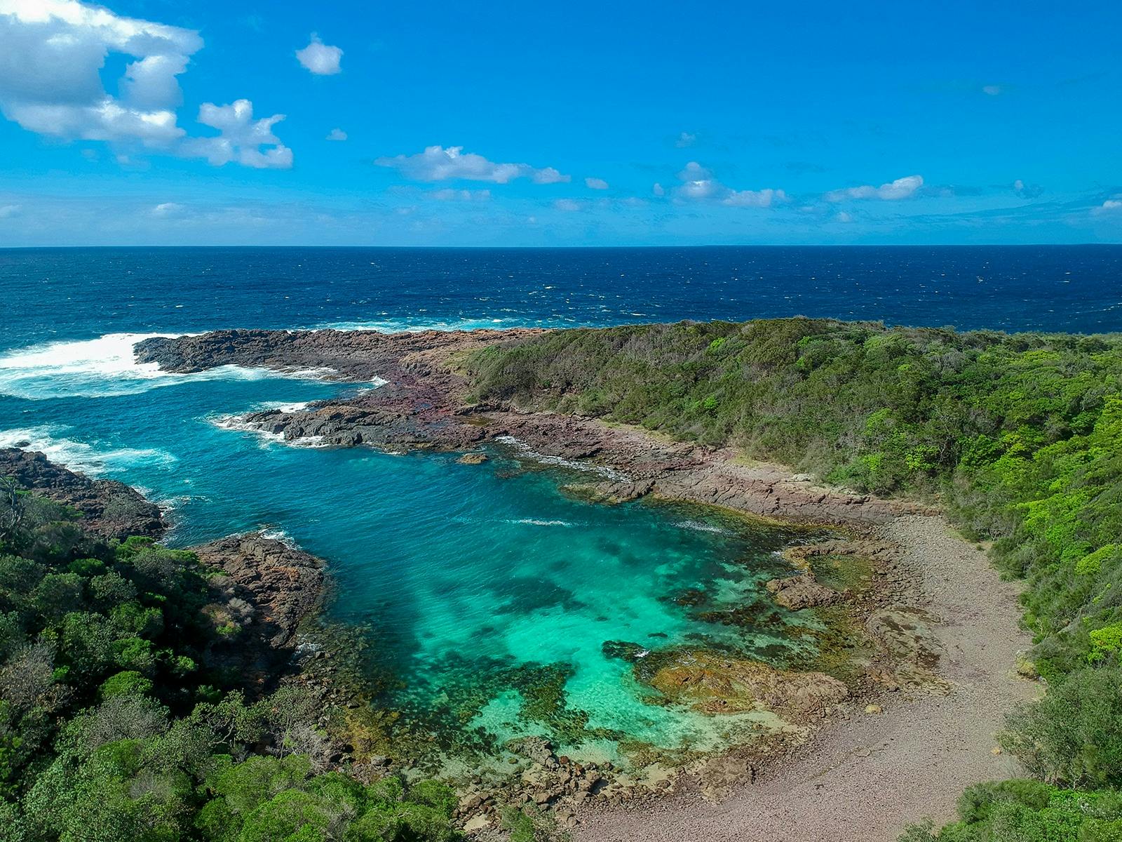 Bush Rangers Bay Fish Bushrangers Bay Aquatic Reserve | NSW Holidays & Accommodation, Things ...