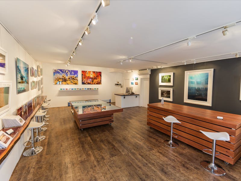 Joel Coleman Gallery
