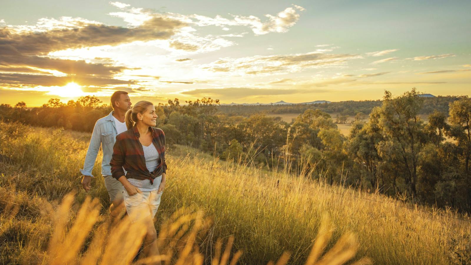 Explore the beauty of Ipswich and surrounds