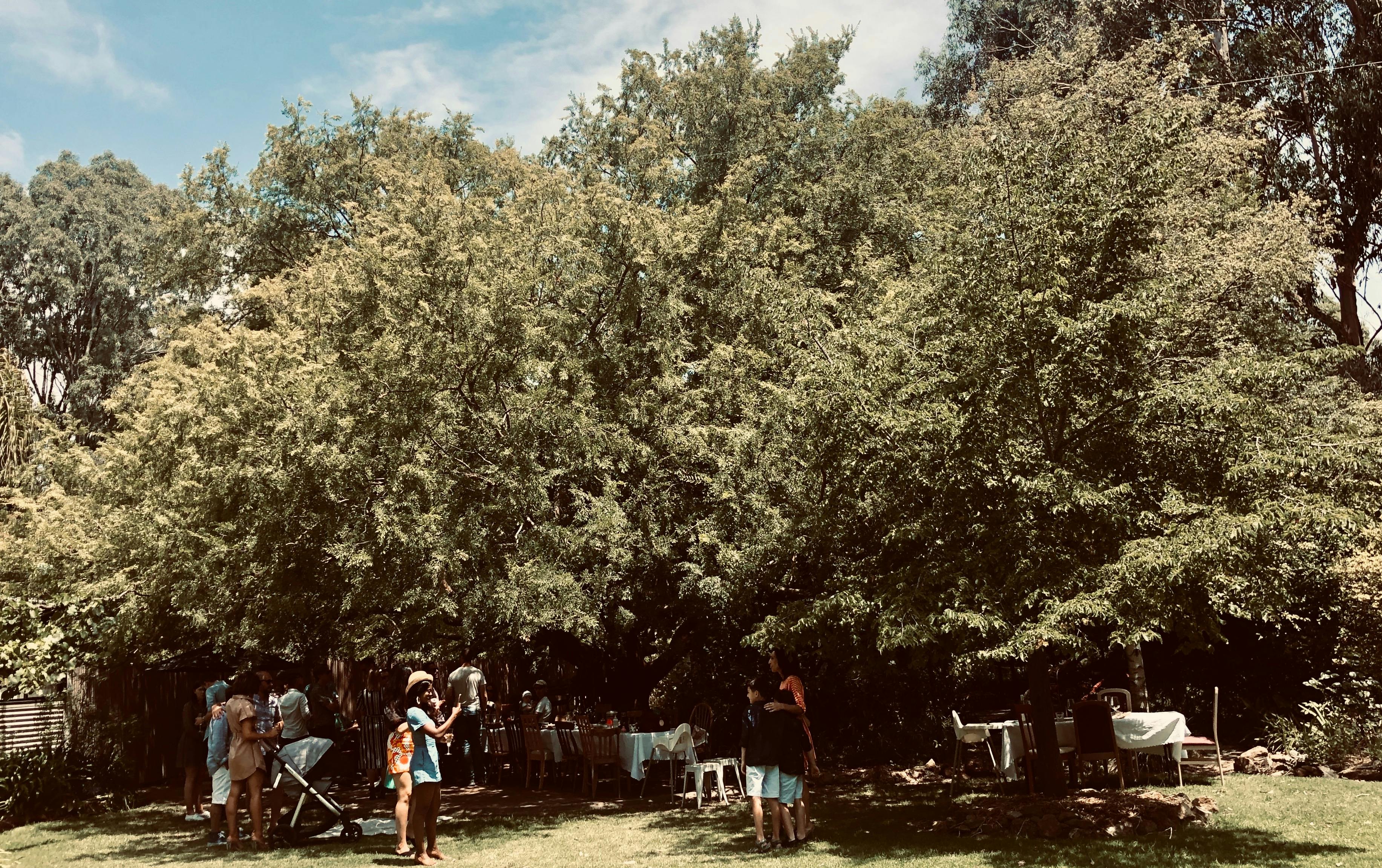 Summer at Lazy Ballerina