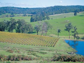 Geographe Alternative Wine Trail, Bunbury, Western Australia
