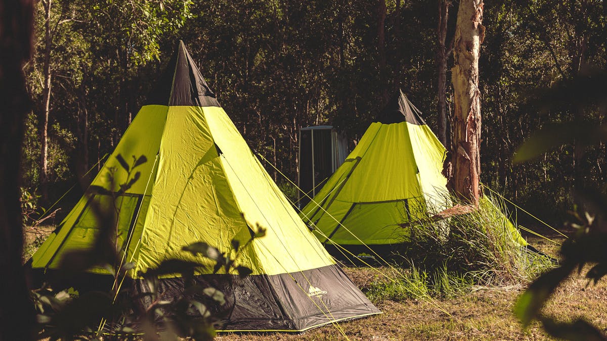 Early evening, two colourful tipi tents set up in the forst ready for the guests to arrive and enjoy