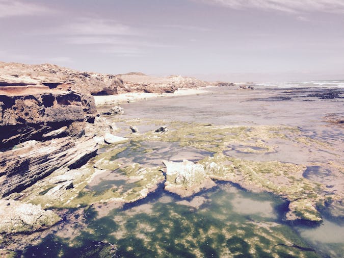 Canunda National Park